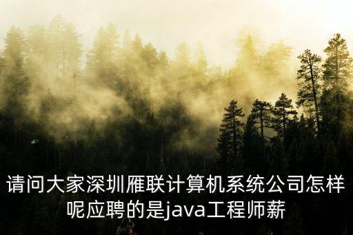 請問大家深圳雁聯計算機系統公司怎樣呢應聘的是java工程師薪