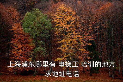 上海浦東哪里有 電梯工 培訓的地方 求地址電話