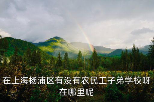 上海市黃浦區(qū)民工子弟學(xué)校，在上海楊浦區(qū)有沒(méi)有農(nóng)民工子弟學(xué)校呀在哪里呢