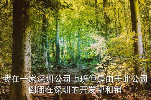 我在一家深圳公司上班但是由于此公司倒閉在深圳的開發部和銷