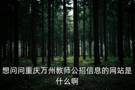 想問問重慶萬州教師公招信息的網站是什么啊
