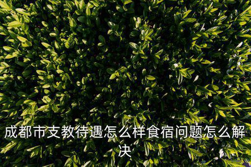成都市支教待遇怎么樣食宿問題怎么解決