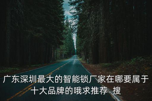 廣東深圳最大的智能鎖廠家在哪要屬于十大品牌的哦求推薦  搜