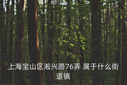 上海寶山區淞興路76弄 屬于什么街道鎮