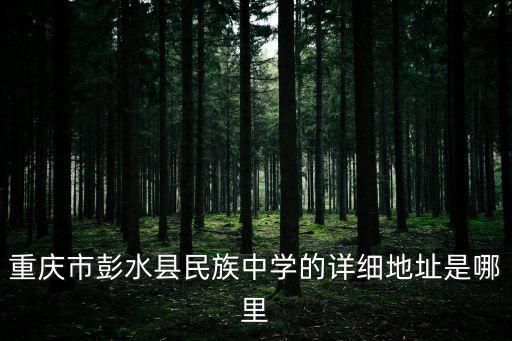 重慶市彭水縣民族中學的詳細地址是哪里