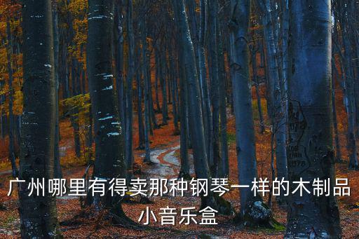 廣州哪里有得賣那種鋼琴一樣的木制品小音樂盒