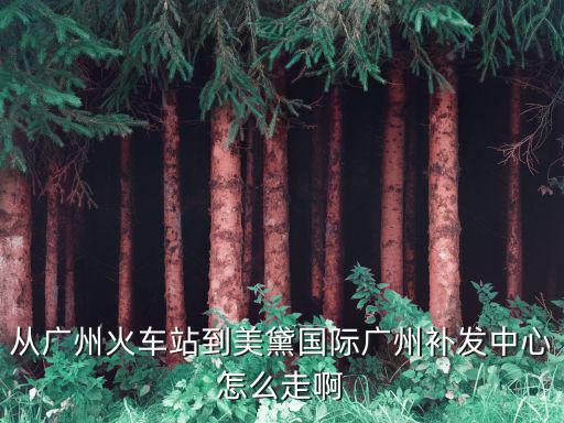 廣州美黛國際，美黛國際廣州專業織發補發機構怎么樣