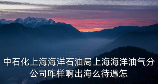 上海市海洋石油，上海海洋石油局局長分公司總經理是誰啊