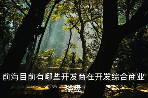 深圳前海時代樓盤，前海目前有哪些開發(fā)商在開發(fā)綜合商業(yè)樓盤