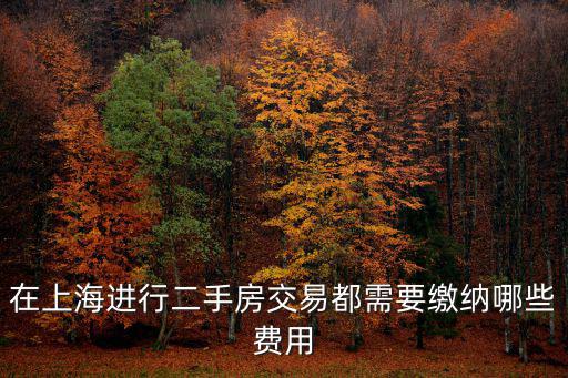 在上海進行二手房交易都需要繳納哪些費用