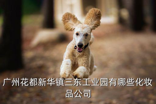 廣州市由興化妝品有限公司，廣州有哪些化妝品公司