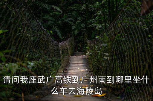 請(qǐng)問(wèn)我座武廣高鐵到廣州南到哪里坐什么車去海陵島