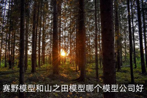 賽野模型和山之田模型哪個模型公司好