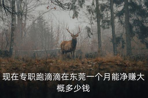 東莞滴滴租賃公司簡(jiǎn)介，滴滴橘子租賃公司在哪
