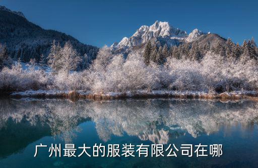 廣州最大的服裝有限公司在哪