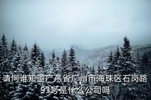 廣州元巨集團公司，請問誰知道廣東省廣州市海珠區石崗路93號是什么公司嗎