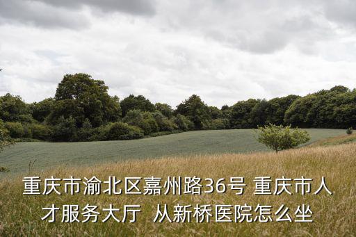 重慶市委人才辦主任，重慶市人才交流服務(wù)中心的業(yè)務(wù)受理點(diǎn)