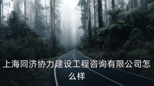 上海同濟協力建設工程咨詢有限公司怎么樣
