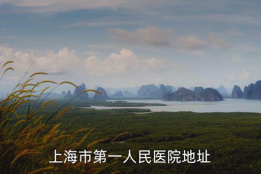 上海市第一人民醫(yī)院地址