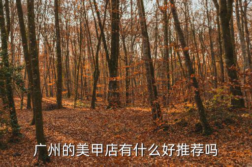 廣州的美甲店有什么好推薦嗎