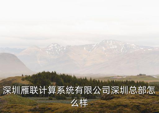 深圳雁聯(lián)計算系統(tǒng)有限公司深圳總部怎么樣
