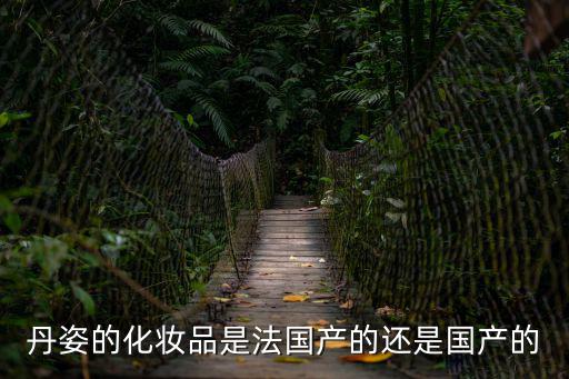 丹姿的化妝品是法國產的還是國產的