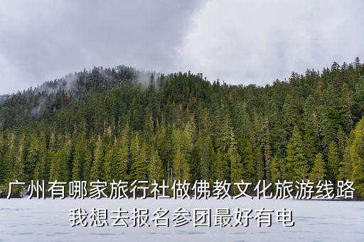 廣州有哪家旅行社做佛教文化旅游線路我想去報名參團最好有電