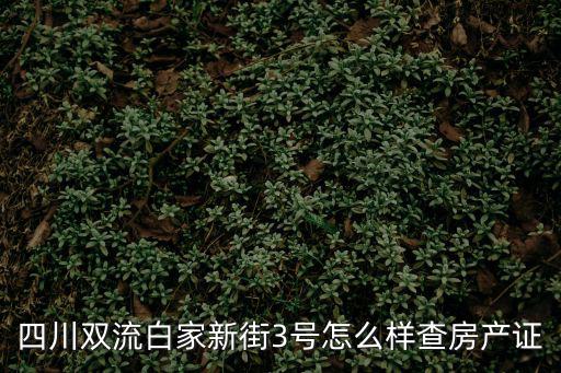 四川雙流白家新街3號怎么樣查房產證