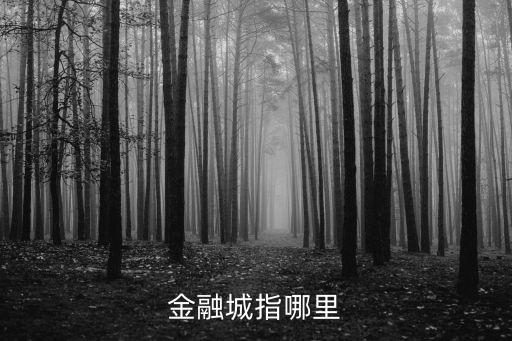 金融城指哪里