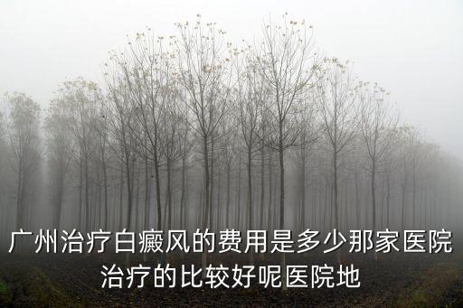廣州治療白癜風的費用是多少那家醫院治療的比較好呢醫院地