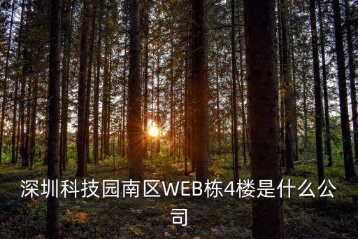 深圳科技園南區WEB棟4樓是什么公司