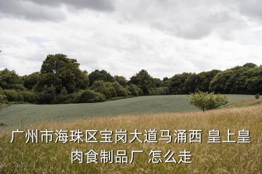 廣州市海珠區(qū)寶崗大道馬涌西 皇上皇肉食制品廠 怎么走