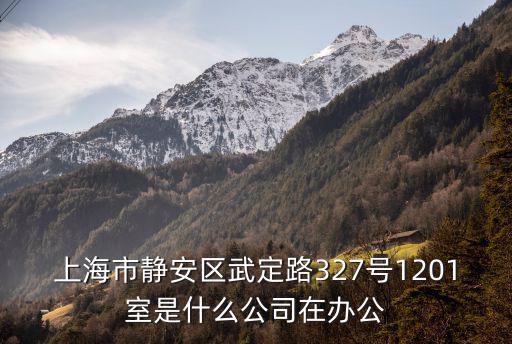 上海市樂善源公益服務中心，上海市靜安區武定路327號1201室是什么公司在辦公
