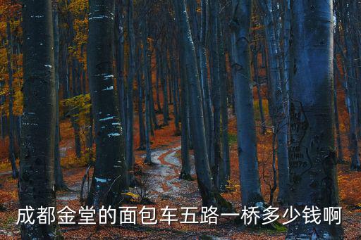 成都金堂的面包車五路一橋多少錢啊