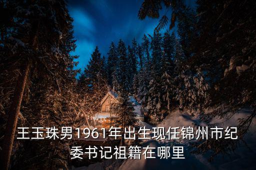 王玉珠男1961年出生現任錦州市紀委書記祖籍在哪里