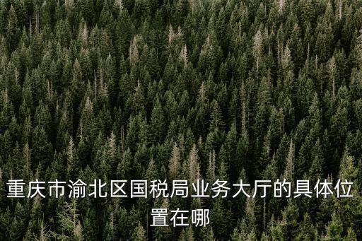 重慶市渝北區國稅局業務大廳的具體位置在哪