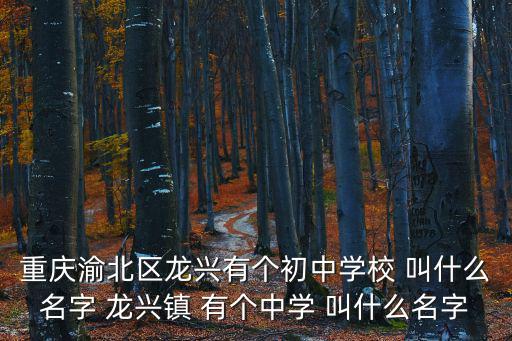 重慶渝北區(qū)龍興有個初中學(xué)校 叫什么名字 龍興鎮(zhèn) 有個中學(xué) 叫什么名字