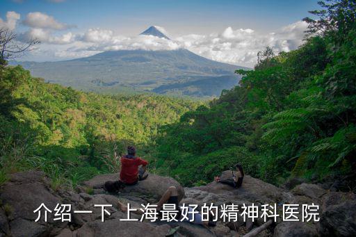 介紹一下 上海最好的精神科醫院