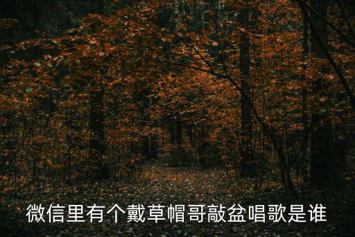 微信里有個戴草帽哥敲盆唱歌是誰