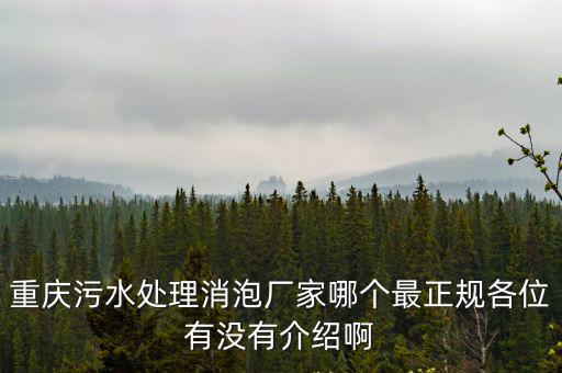 重慶污水處理消泡廠家哪個最正規各位有沒有介紹啊