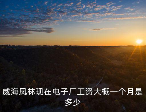廣州鳳芳林電子有限公司，鳳林白班電子有招工的嗎