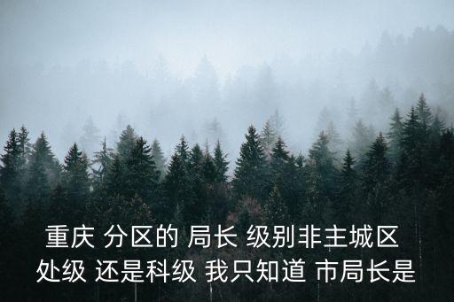 重慶 分區的 局長 級別非主城區 處級 還是科級 我只知道 市局長是