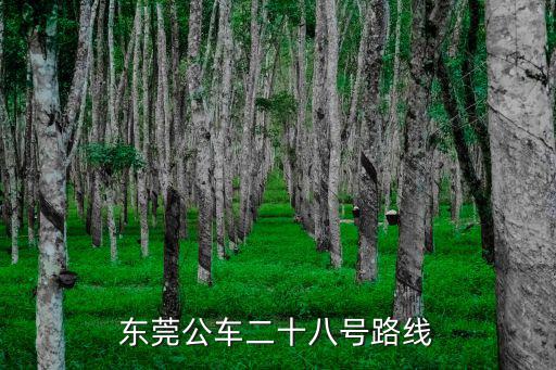 東莞公車815路線地圖，東莞公交路線