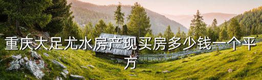 重慶大足尤水房產現買房多少錢一個平方