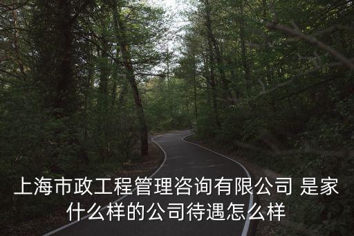 上海市市政工程管理?xiàng)l例，上海市政橋梁用什么規(guī)范
