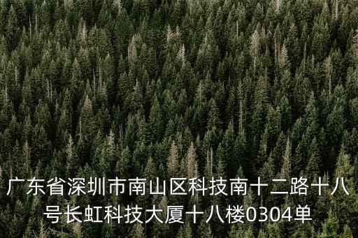 廣東省深圳市南山區(qū)科技南十二路十八號長虹科技大廈十八樓0304單