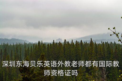 深圳東海貝樂英語外教老師都有國際教師資格證嗎