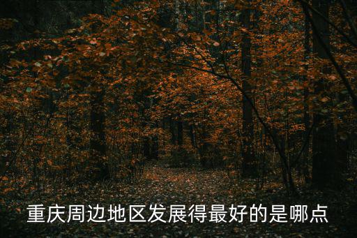 重慶周邊地區發展得最好的是哪點