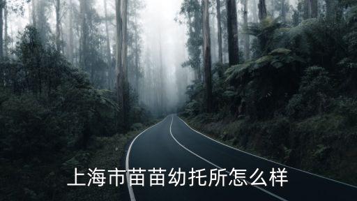 上海市苗苗幼托所怎么樣