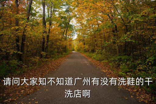 廣州哪里有洗鞋的地方，廣州哪里有洗鞋子的店